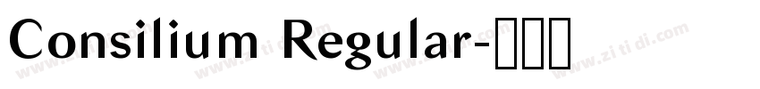 Consilium Regular字体转换